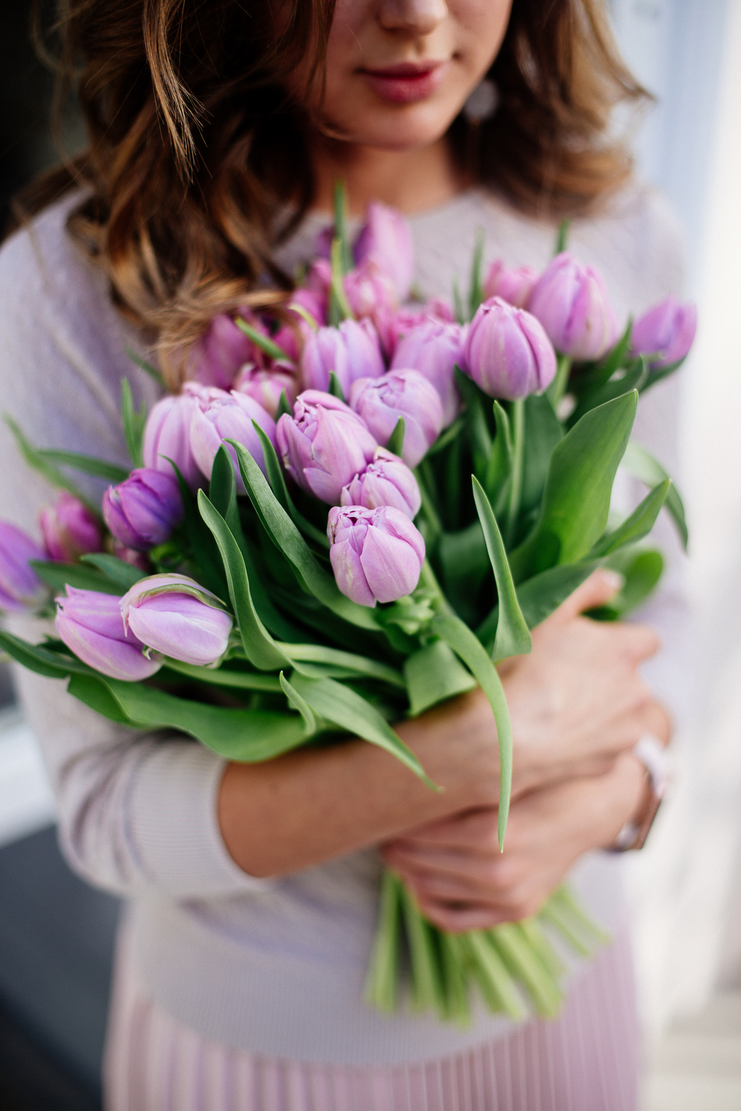Lavender Dream